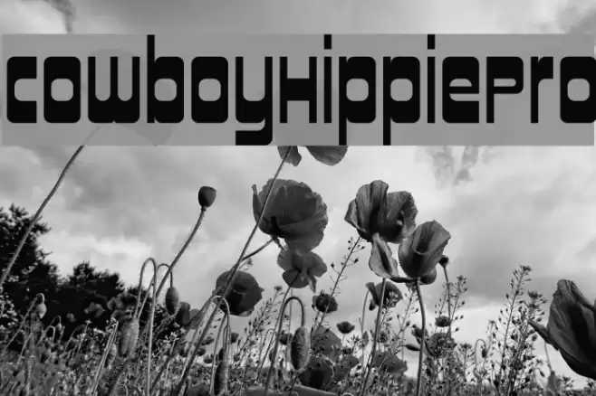 CowboyHippiePro Font examples