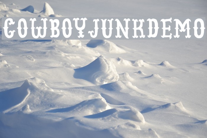 CowboyJunkDEMO Font examples