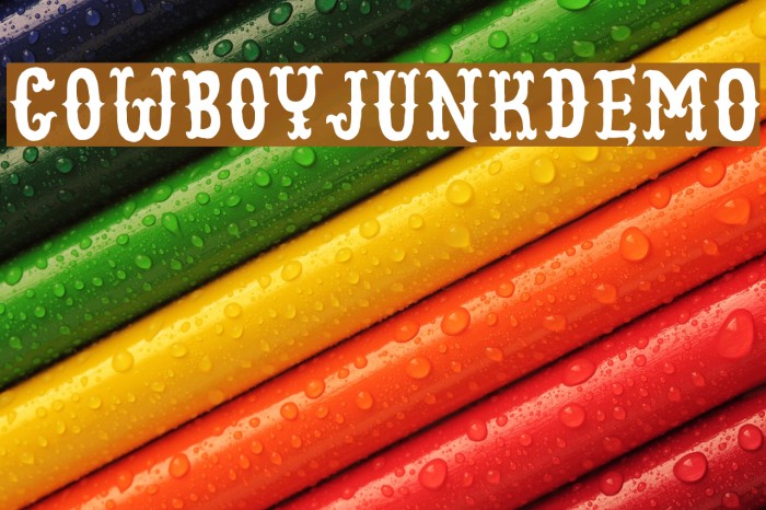 CowboyJunkDEMO Font examples