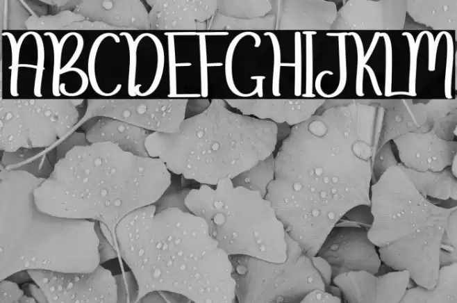 Cowboy Шрифта examples