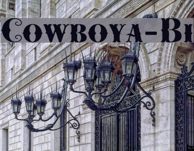 Cowboya-Bi Example 1