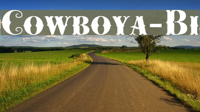 Cowboya-Bi Font examples