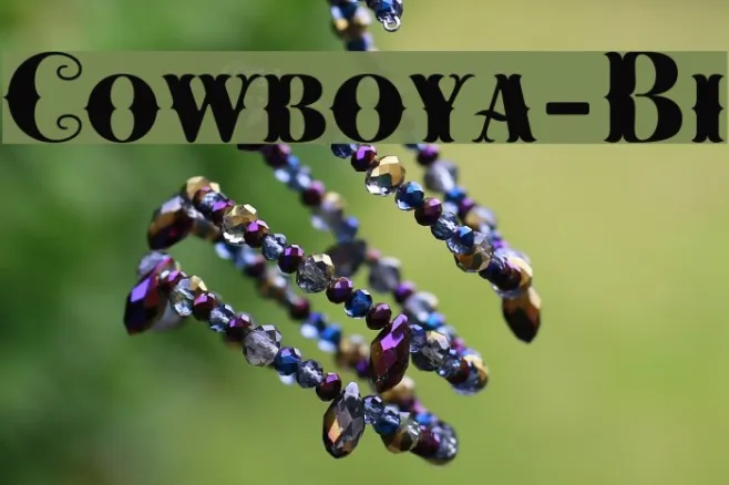 Cowboya-Bi Example 3