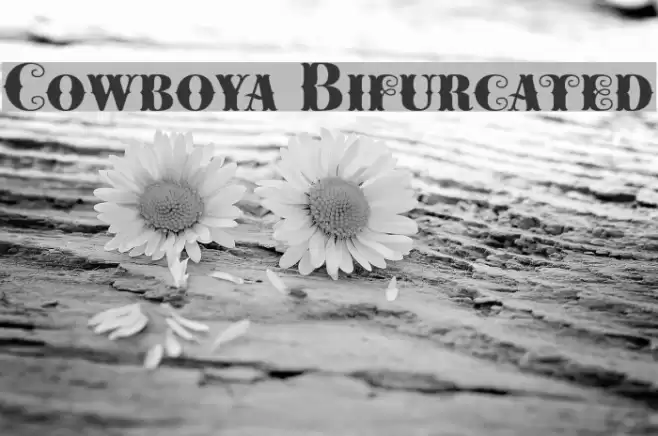 Cowboya Bifurcated Font examples