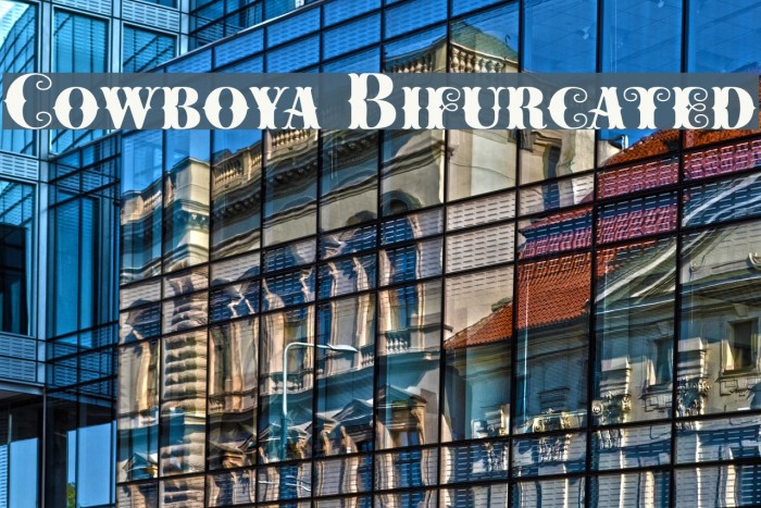 Cowboya Bifurcated Example 3