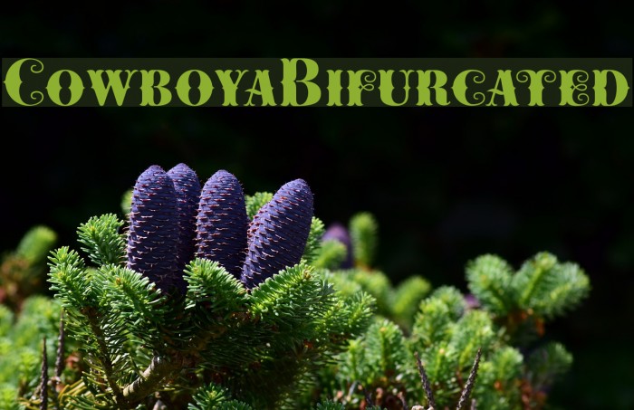 CowboyaBifurcated Font examples