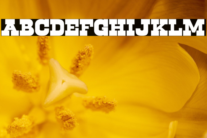 Cowboys 2.0 Example 1