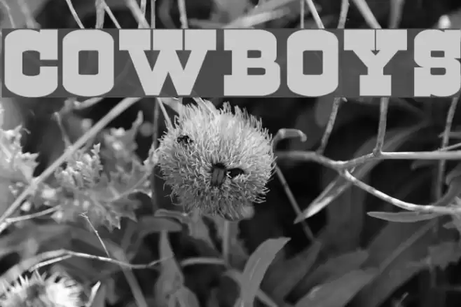 Cowboys Font examples