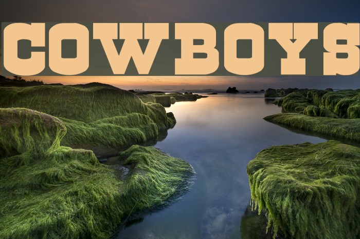 Cowboys フォント examples