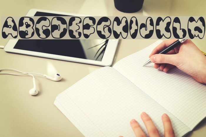Cowpoke BI Font examples