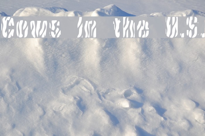 Cows In the U.S. Font examples