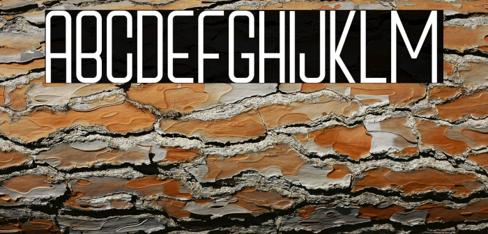 Cox's Bazar Example 3