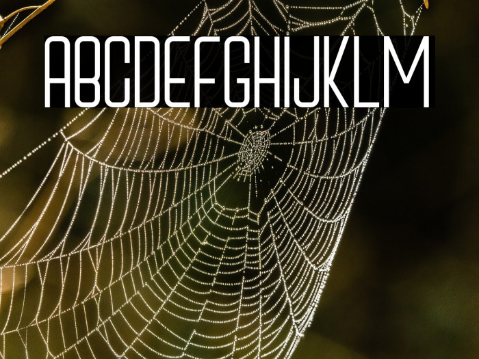 Cox'sBazar Example 1