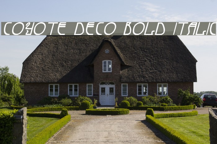 Coyote Deco Bold Italic Font examples