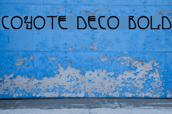 Coyote Deco Bold Font examples