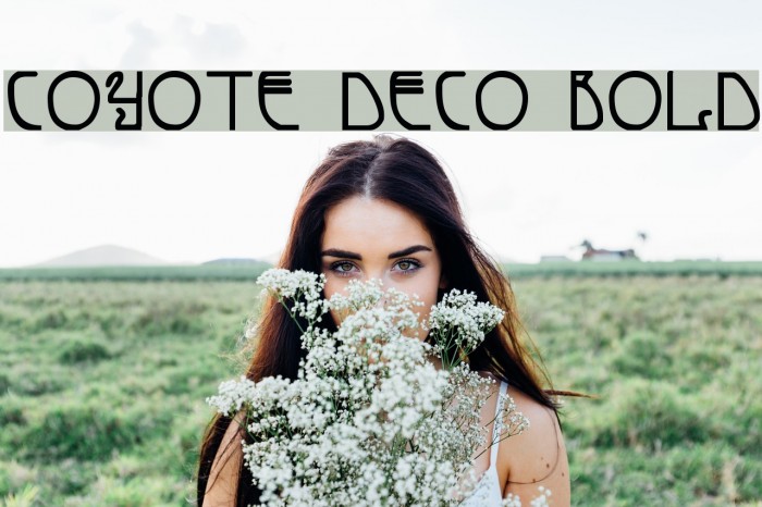 Coyote Deco Bold Font examples