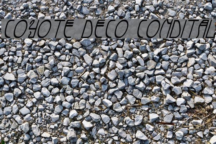 Coyote Deco CondItal Font examples