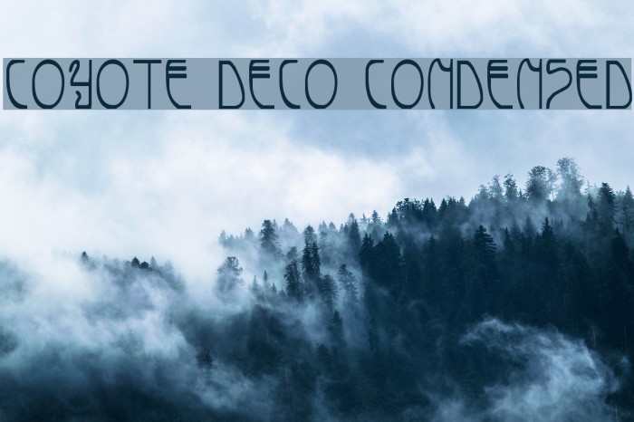 Coyote Deco Condensed Font examples