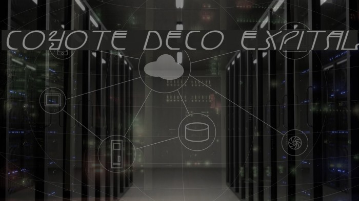 Coyote Deco ExpItal Polices examples