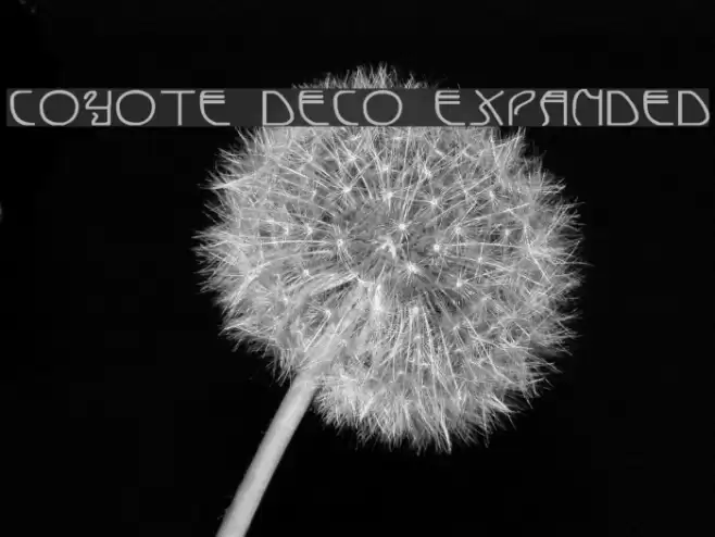 Coyote Deco Expanded Font examples