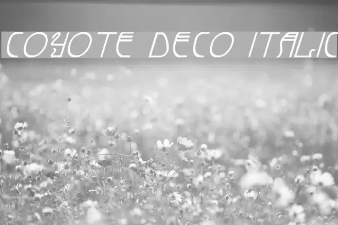 Coyote Deco Italic Font examples