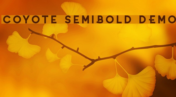 Coyote SemiBold DEMO Example 1