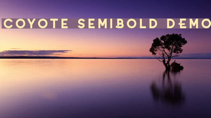 Coyote SemiBold DEMO Example 2