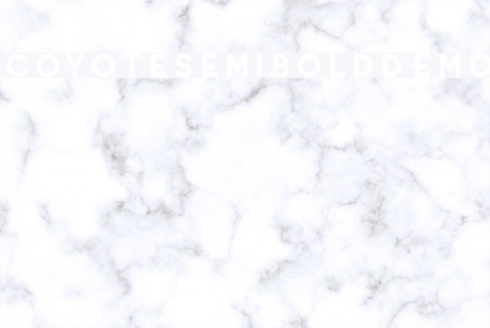 Coyote-SemiBoldDEMO Example 1