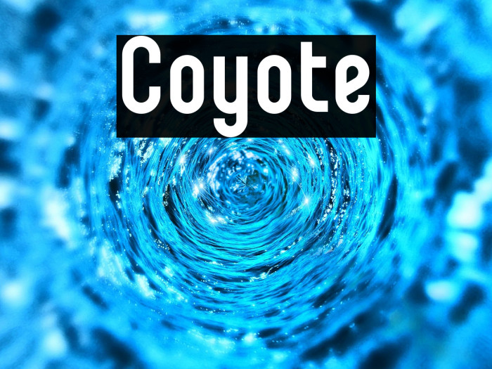 Coyote Example 1