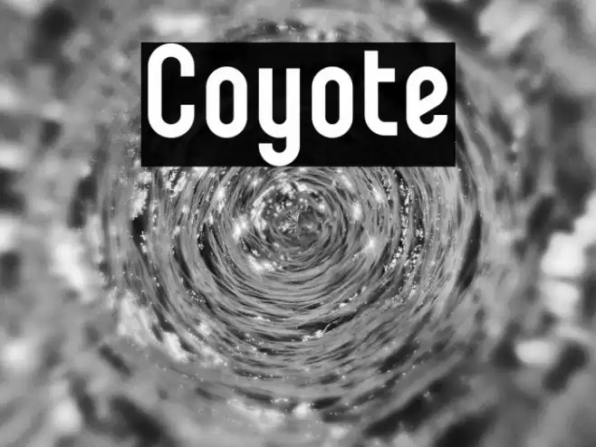 Coyote Font examples