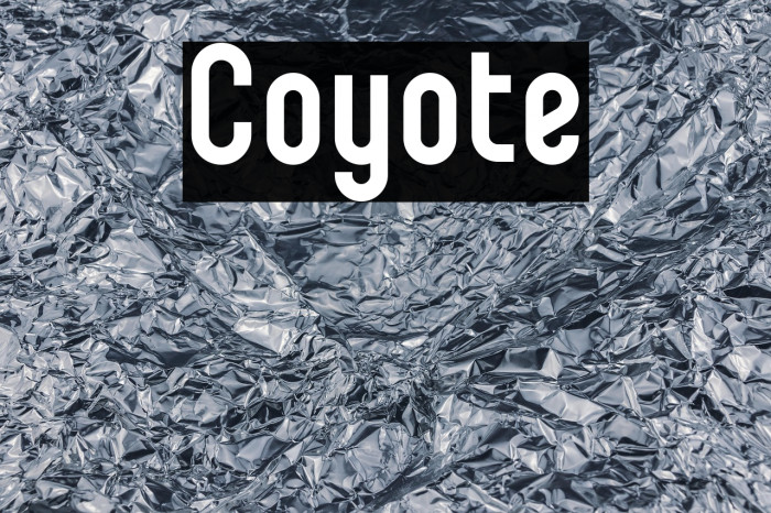 Coyote Example 2