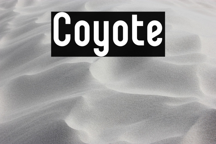 Coyote Example 3