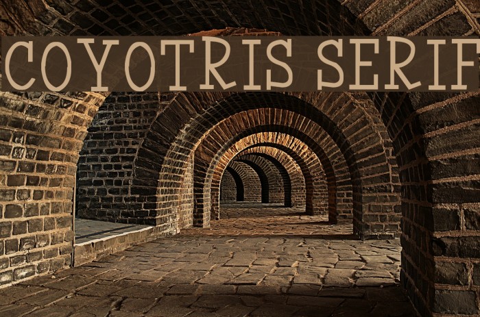 Coyotris Serif Example 1