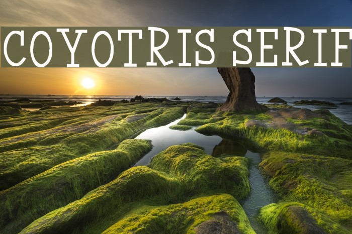 Coyotris Serif Example 2