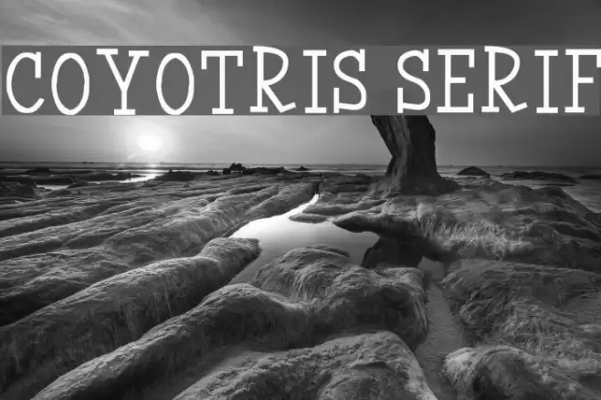 Coyotris Serif Font examples