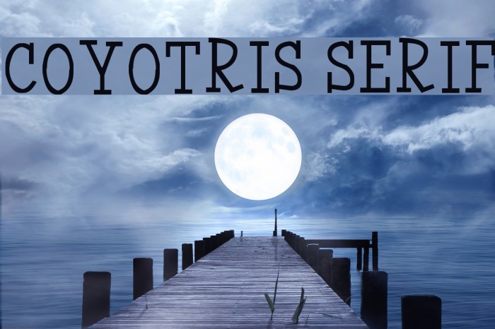 Coyotris Serif Example 3