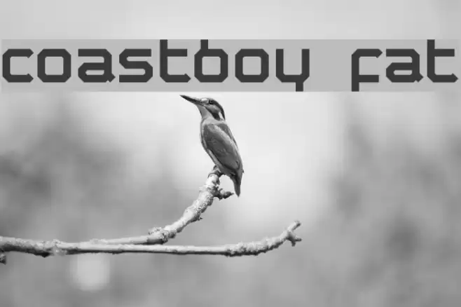 coastboy fat Font examples