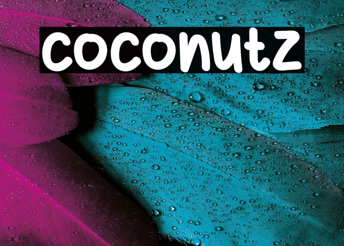 coconutz Example 3