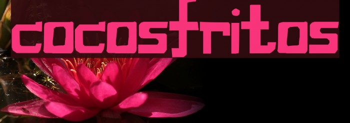 cocosfritos Font examples