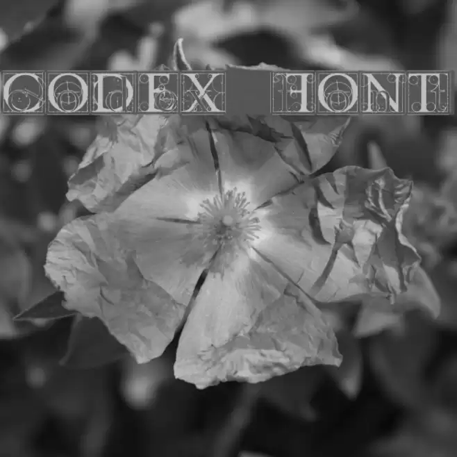 codex Fuentes examples