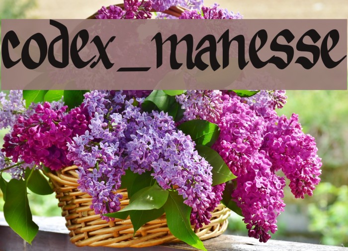 codex_manesse Font examples