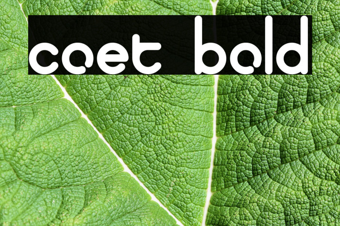 coet bold फ़ॉन्ट examples
