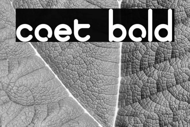 coet bold Font examples