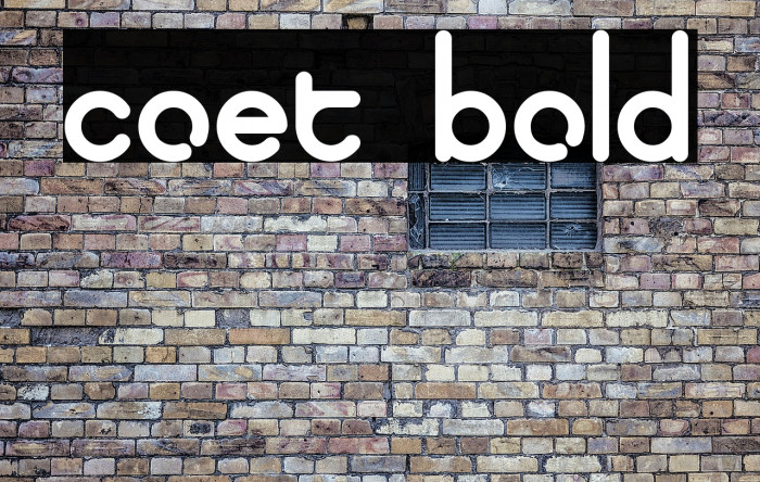 coet bold फ़ॉन्ट examples