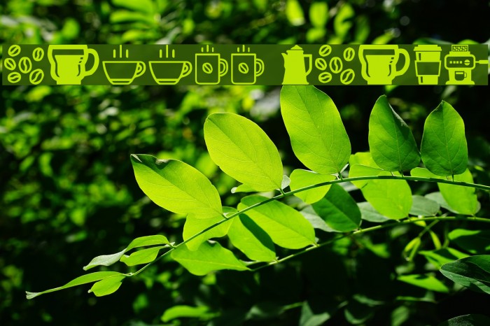 coffee icons Font examples