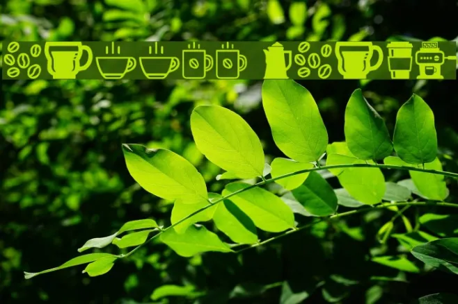 coffee icons Example 2