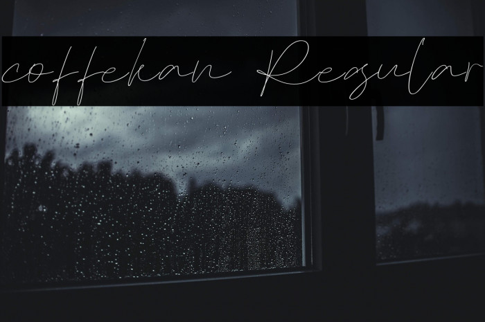 coffekan Regular Example 3