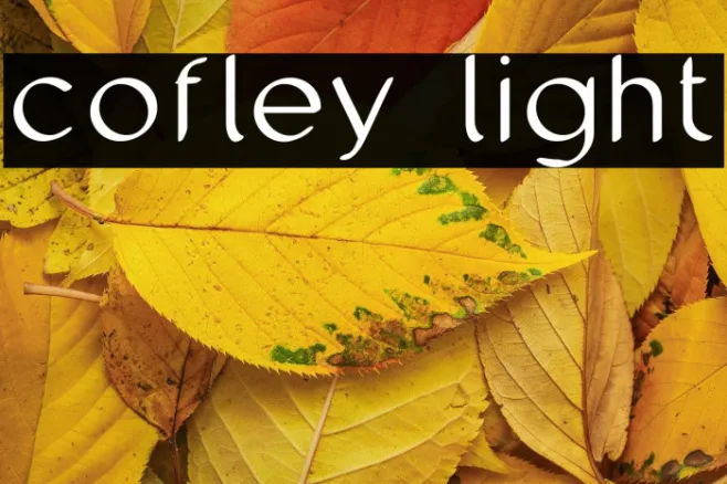 cofley light Example 1