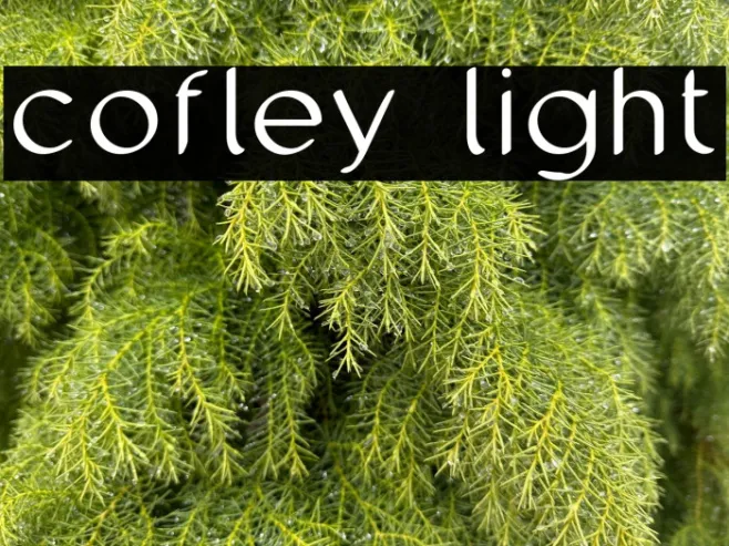 cofley light Example 2