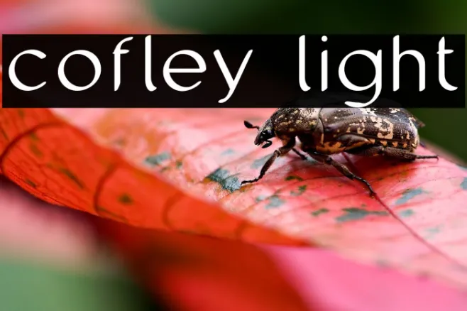 cofley light Example 3